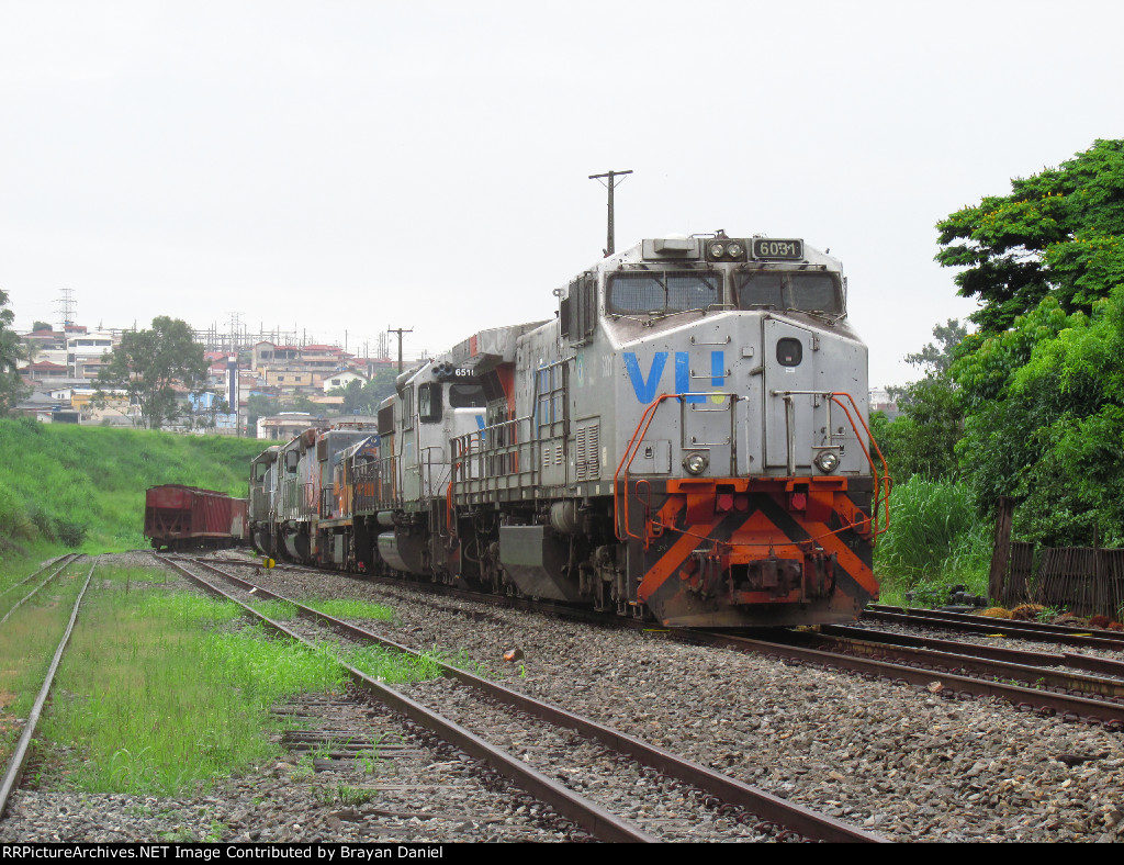 VLI 6031